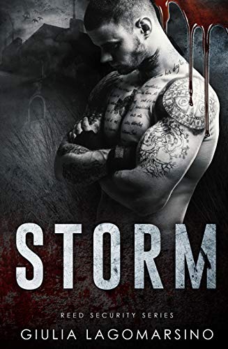 Storm book cover