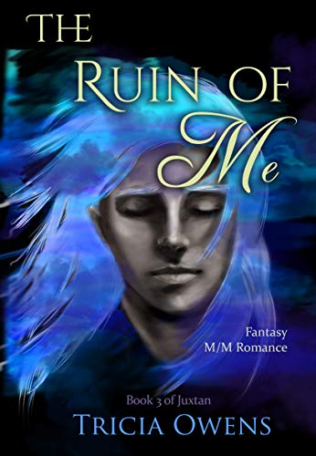 The Ruin of Me book cover