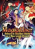 Magic User Reborn In Another World As A Max Level Wizard Light Novel Vol 1