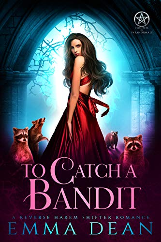 To Catch a Bandit book cover