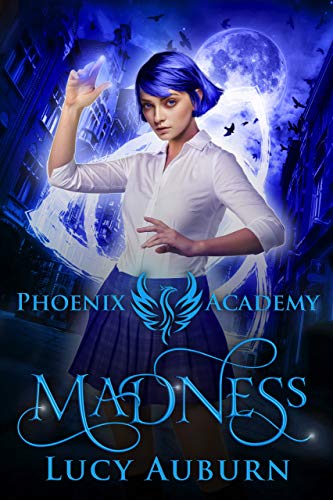 Madness book cover