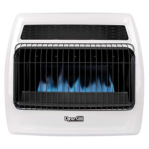 Dyna-Glo BFSS30LPT-2P 30,000 BTU Liquid Propane Blue Flame Thermostatic Vent Free Wall Heater, White