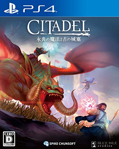 スパイク・チュンソフトの名作ゲーム、みんなで選ぶ人気ゲーム投票ランキング 12位 シタデル:永炎の魔法と古の城塞の画像