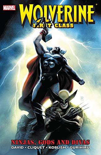 Ninjas, Gods And Divas book cover