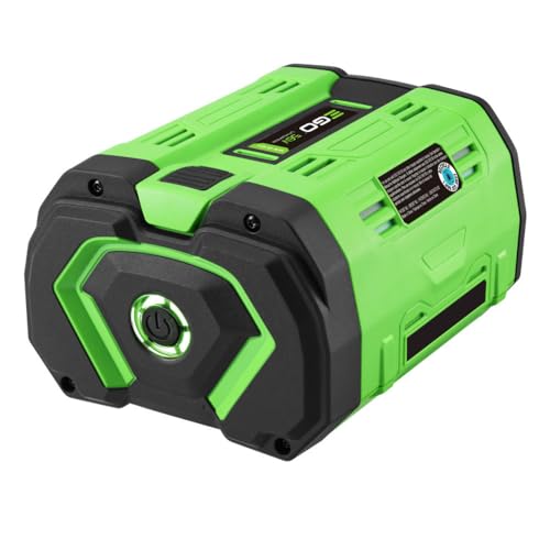 EGO POWER+ Battery 56V, 10.0Ah - BA5600T