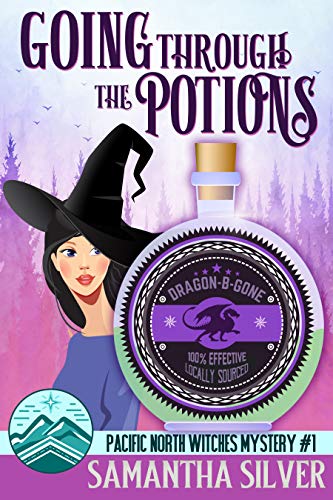 Going through the Potions book cover