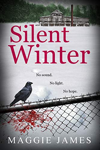 Silent Winter book cover