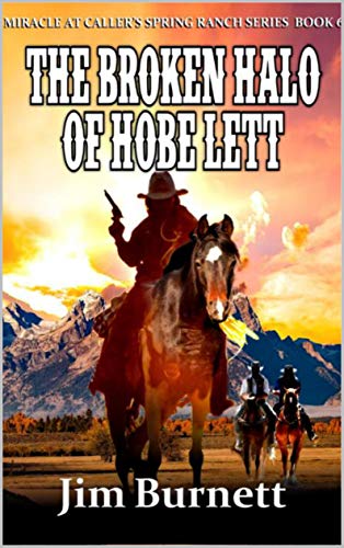 The Broken Halo of Hobe Lett book cover