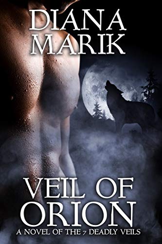 Veil of Orion book cover
