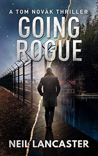 Going Rogue book cover