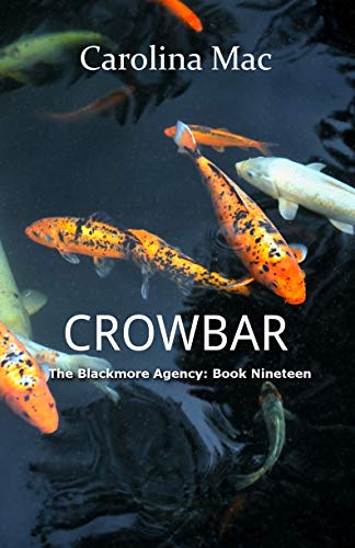 Crowbar book cover