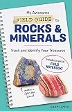 My Awesome Field Guide To Rocks And Minerals Track And Identify Your Treasures