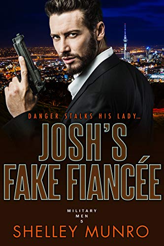 Josh's Fake Fiancee cover