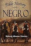 Bible History Of The Negro 1915
