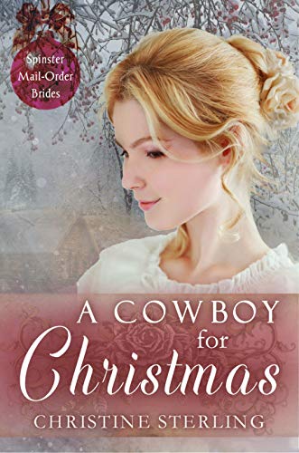 A Cowboy for Christmas (By: Christine Sterling) cover