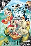 Dr Stone Vol 8 Hotline English Edition
