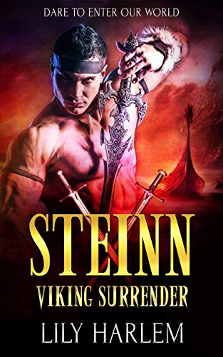 Steinn book cover