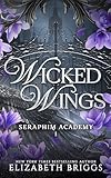 Seraphim Academy 1 Wicked Wings