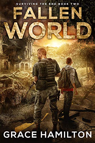 Fallen World book cover