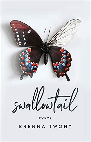 Swallowtail book cover