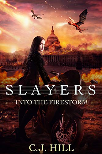 Into the Firestorm book cover