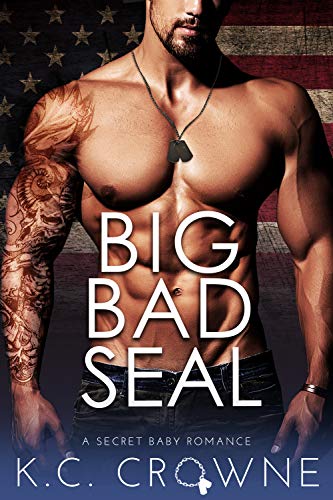 Big Bad SEAL book cover