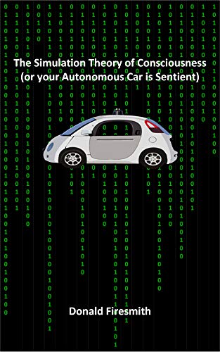 The Simulation Theory of Consciousness book cover