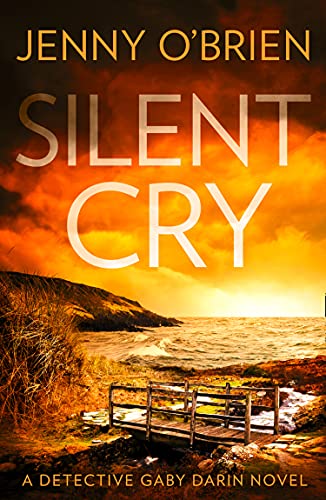 Silent Cry / Missing in Wales cover