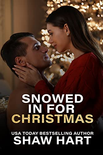 Snowed in for Christmas book cover