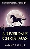 A Riverdale Christmas The Riverdale Pony Stories Book 9 English Edition