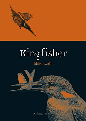 Kingfisher (By: Ildiko Szabo) cover