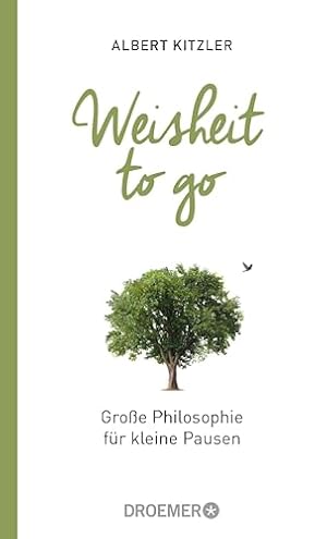 Große Philosophie für kleine Pausen von Albert Kitzler