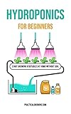 Hydroponics For Beginners Start Growing Vegetables At Home Without Soil