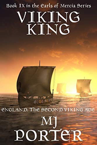 Viking King book cover