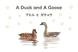  A Duck And A Goose English Edition