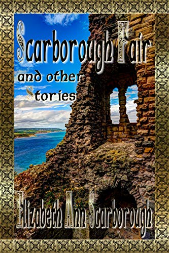 Scarborough Fair book cover
