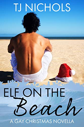 Elf on the Beach book cover
