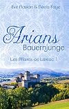 Arians Bauernjunge (Les Affaires de Lareac 1) (German Edition)