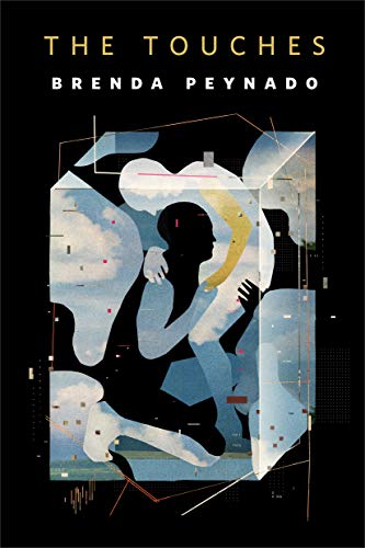 The Touches book cover