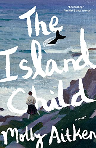 The Island Child book cover
