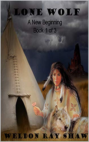 A New Beginning book cover