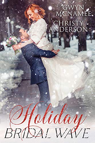 Holiday Bridal Wave book cover