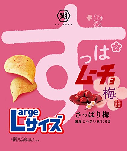 自分好みのポテトチップス ランキング・人気投票 11位 すっぱムーチョの画像
