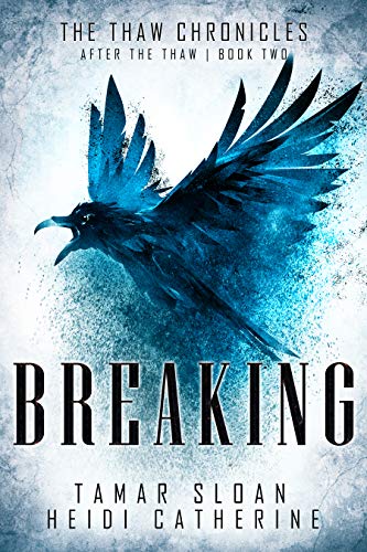 Breaking book cover