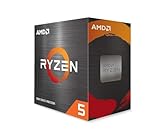 AMD Ryzen 5 5600X