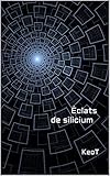 Clats De Silicium