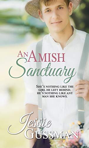 An Amish Sanctuary book cover