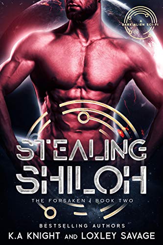 Stealing Shiloh cover