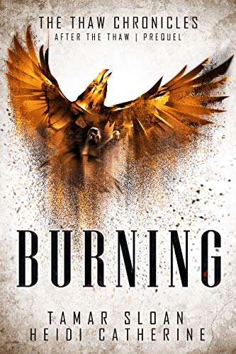 Burning cover