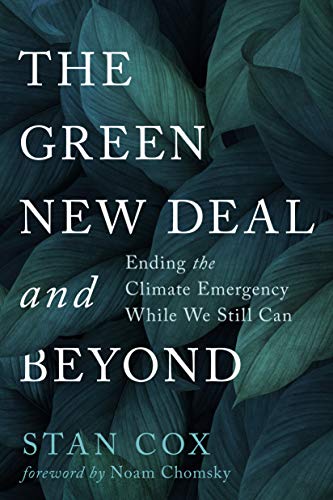 The Green New Deal and Beyond book cover